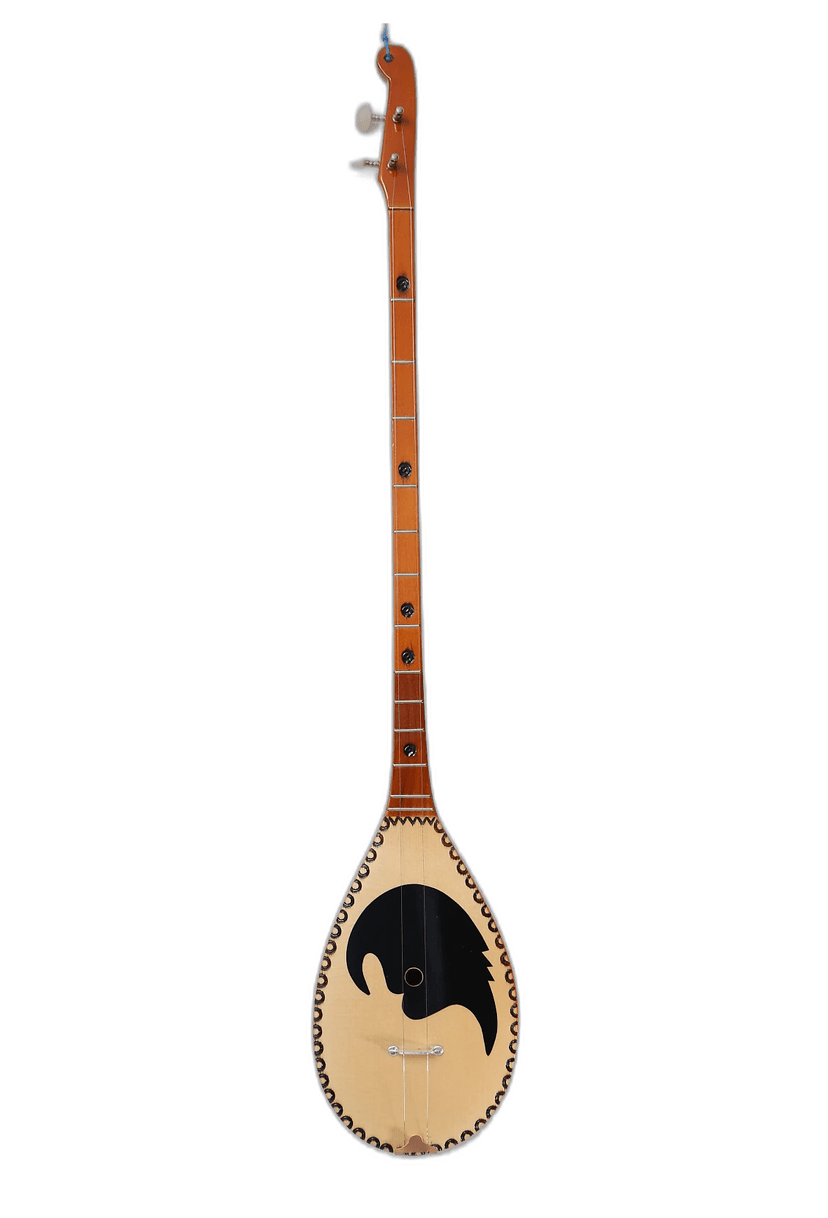 Traditional Albanian Çifteli